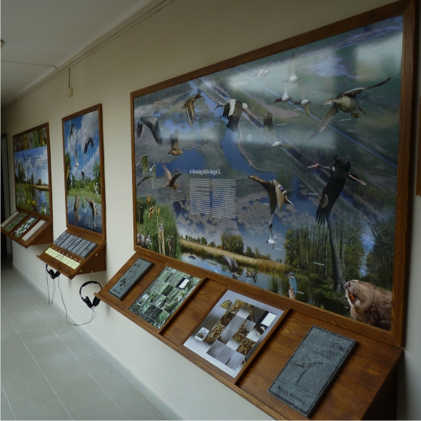 Embed Csorna, Művelődési Központ - Tudáscentrum